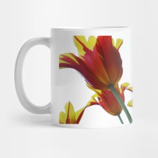 Tulips Mug